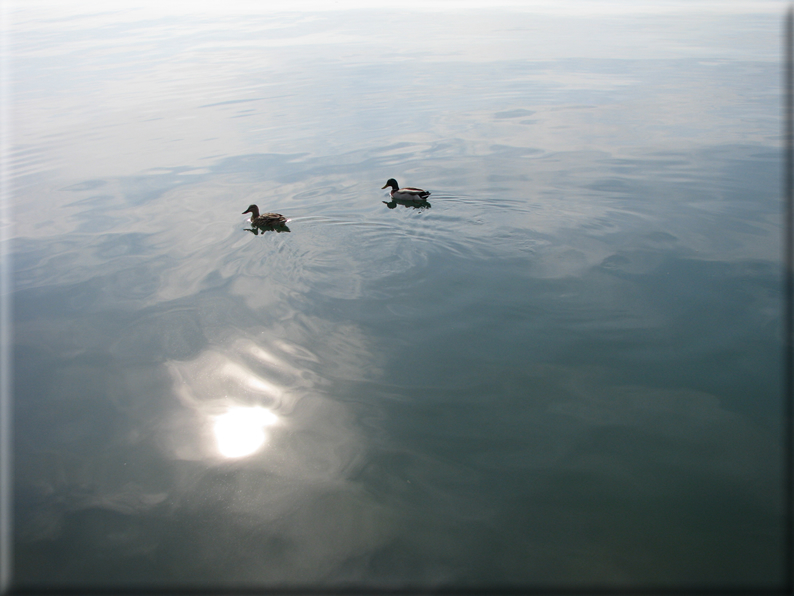 foto Lago di Garda